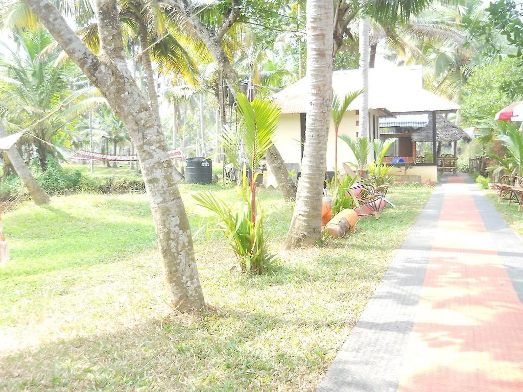 Mangrove Island Village Kochi India